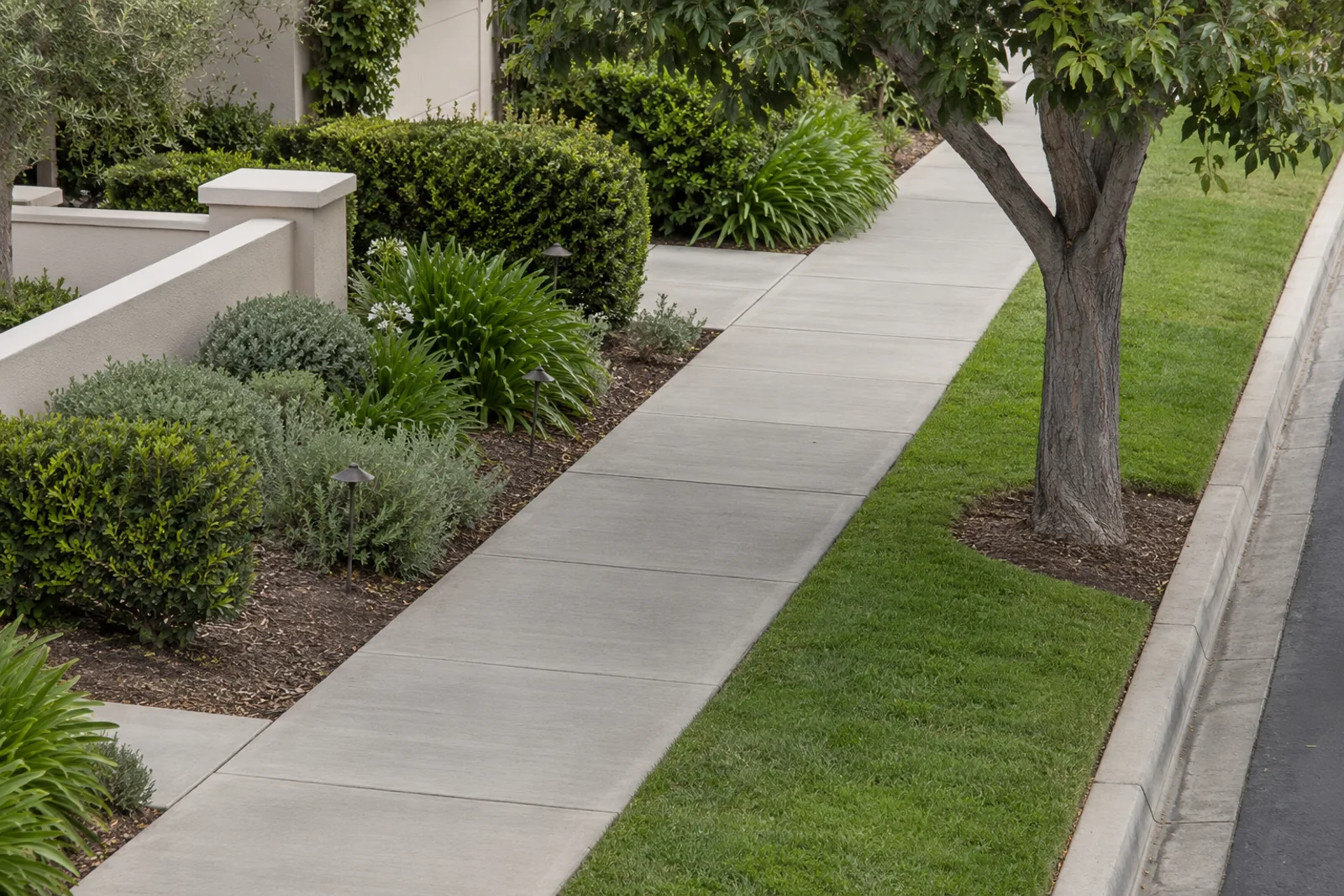 Long run of new broom-finished concrete sidewalk panels beside a lawn strip, curb and mature tree in a landscaped residential community
